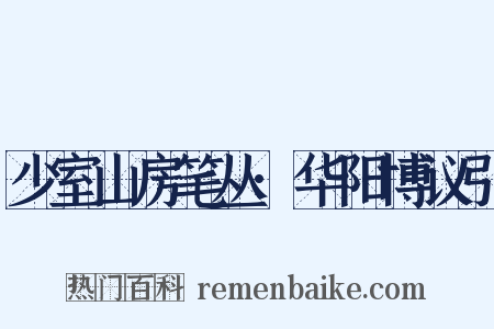 少室山房笔丛·华阳博议引是什么意思的图片